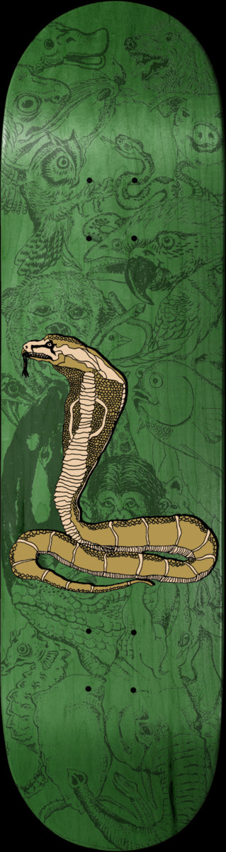 Baker - Theotis Piranhaconda Deck (8.25") *SALE